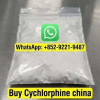 Buy Cychlorphine Powder from china with 99% purity